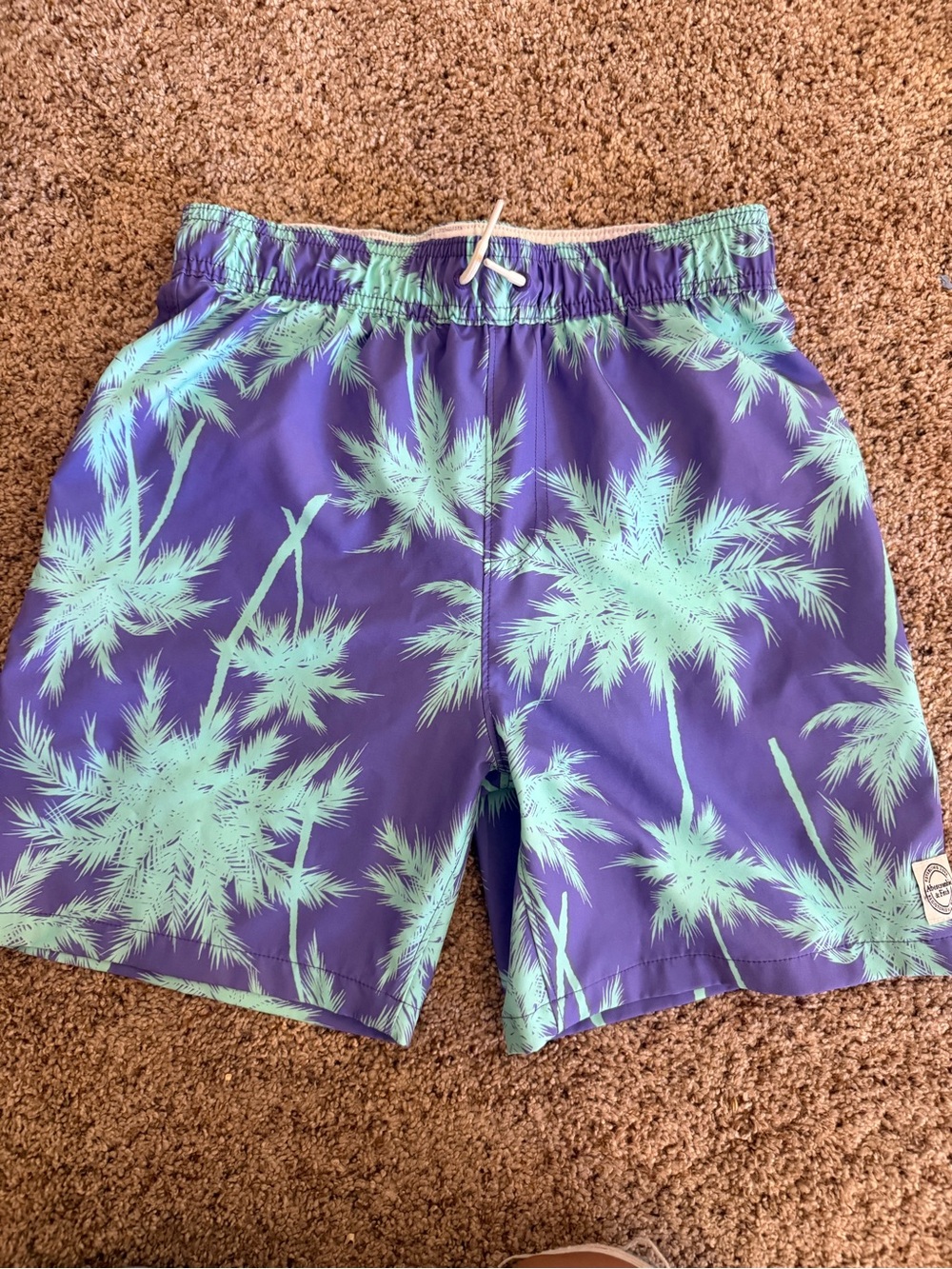 abercrombie kids Purple and Mint Palm-Print Swim Trunks